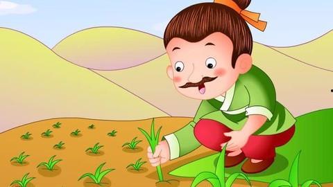 拔苗助长在线视频,揭秘农业种植中的误区与科学方法