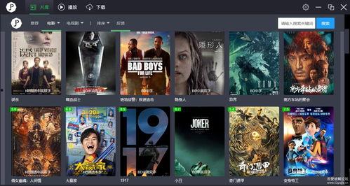 棉费视频在线视频观看,在线观看，畅享精彩瞬间