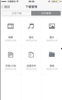 最新无缓冲在线视频播放,无缓冲在线视频播放新体验