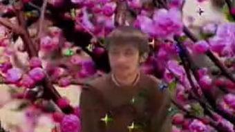 丁香在线视频观看土豆,土豆营养解析与食用指南