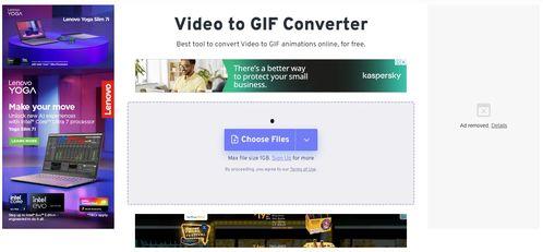 在线视频转动图网站