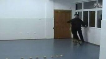 女厕小便高清在线视频,高清视频引发热议